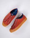 Novesta x Brava Star Master Sequoia