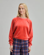 Velvet Raglan Sweatshirt Burnt Orange