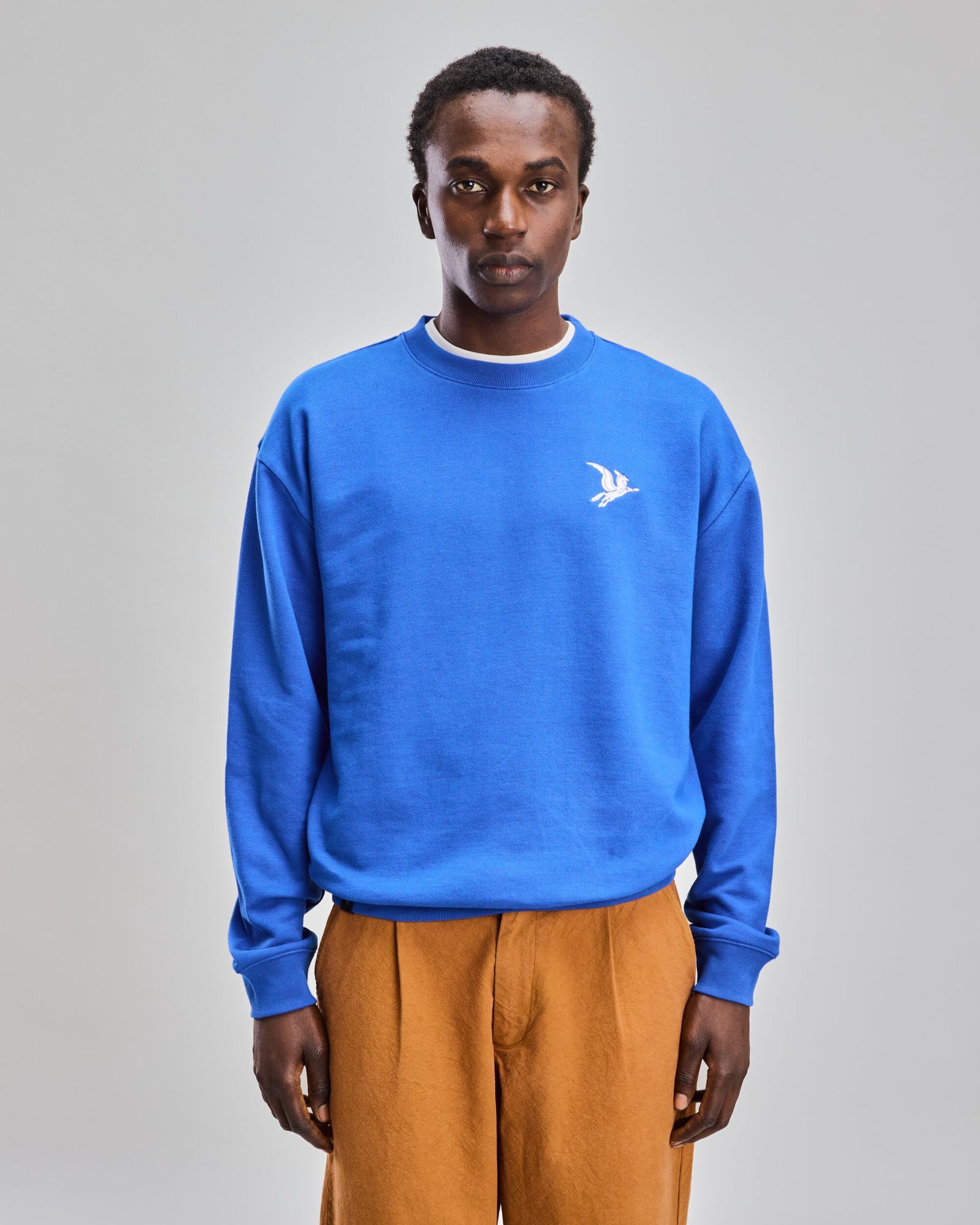 Pebe Fantasia Sweatshirt Pegaso