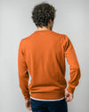 Llama Llama Earth Pullover