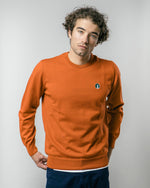 Llama Llama Earth Pullover