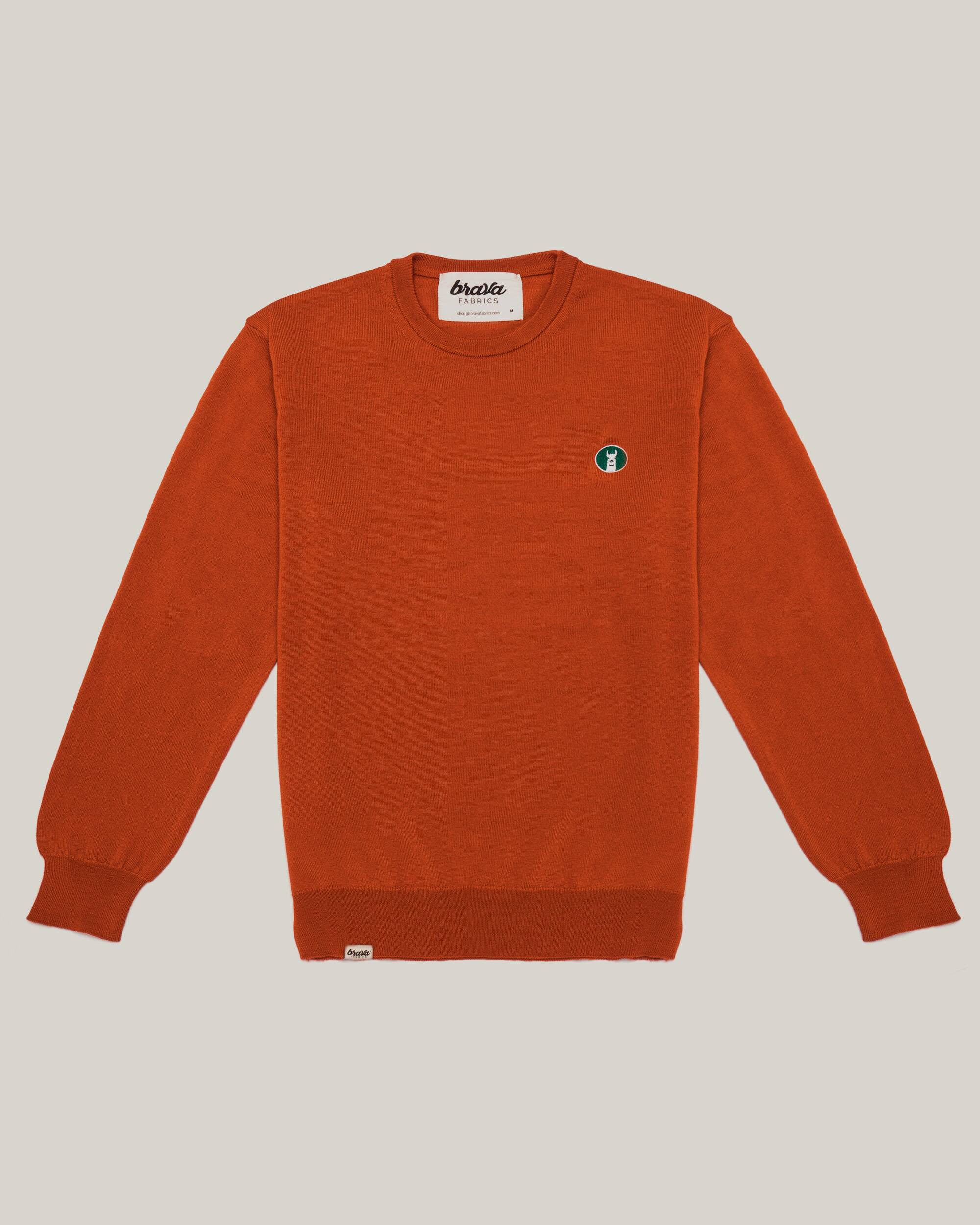 Llama Llama Earth Pullover