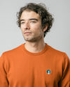 Llama Llama Earth Pullover